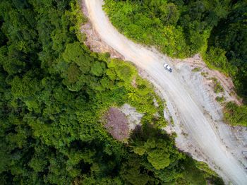 High angle view of road amidst trees