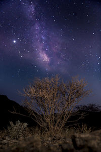 Scenic view of star field against sky at night