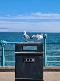 Seagull perching on a sea against sky