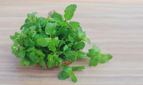 Close-up of fresh green leaves on table