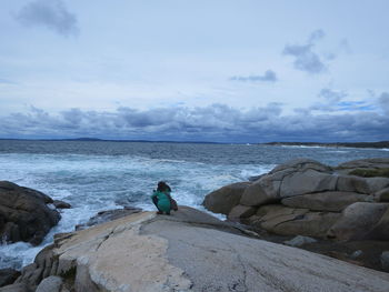 Rear view of man on rock by sea against sky