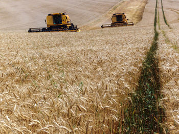 Combine harvester on a wheat field in brazil