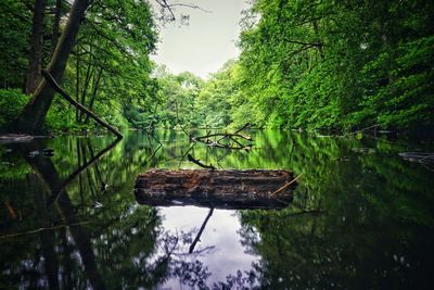 Small floating on water in lake