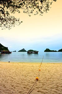 Scenic view of beach against sky during sunset