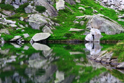 Scenic view of lake