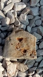 High angle view of cookies on rocks