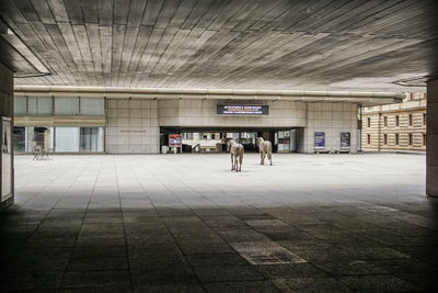 Rear view of people walking in corridor