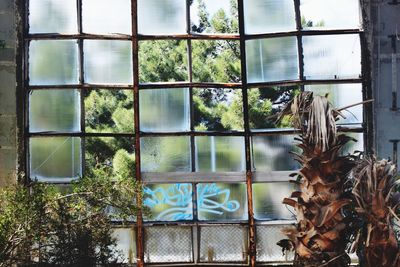 Window of abandoned building