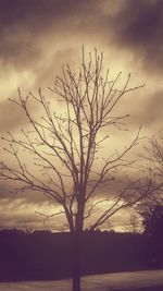 Silhouette bare tree against sky during sunset