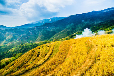 Scenic view of agricultural landscape against sky