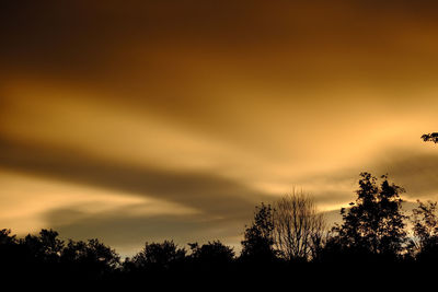 Low angle view of silhouette trees against orange sky