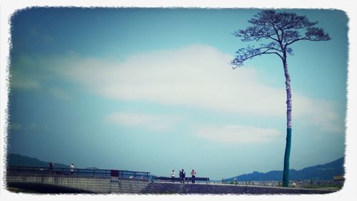 Silhouette of bare tree against cloudy sky