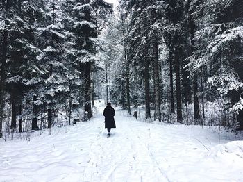 Rear view of man walking in snow covered forest