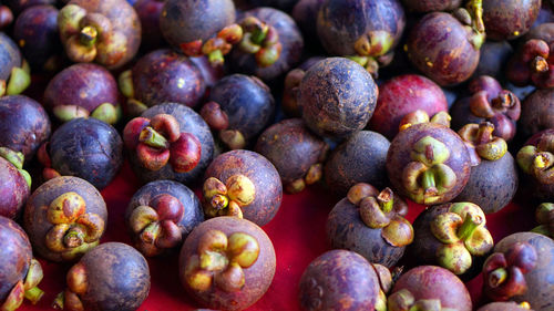 Queen of tropical fruit mangosteen full frame background