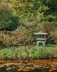 Trees and plants in garden