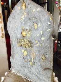 Close-up view of leaf