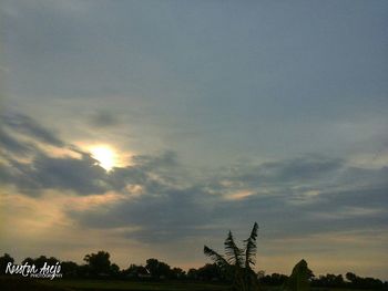 Low angle view of silhouette trees against sky at sunset