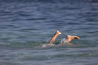 Man swimming in sea