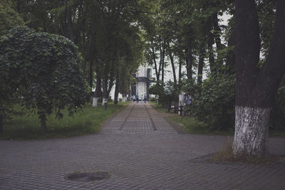 Walkway amidst trees