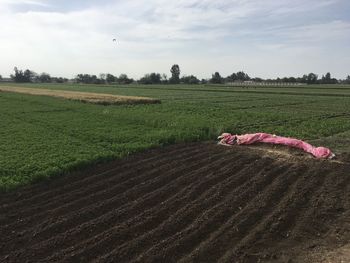 Scenic view of field against sky