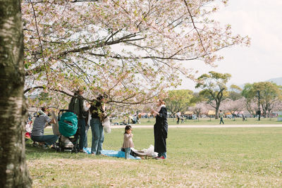 Woman sitting on cherry tree in park