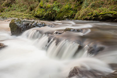 Scenic view of waterfall in forest