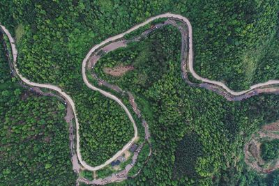 Aerial view of green landscape