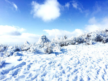 Snow covered landscape against blue sky