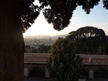 Trees and buildings against sky