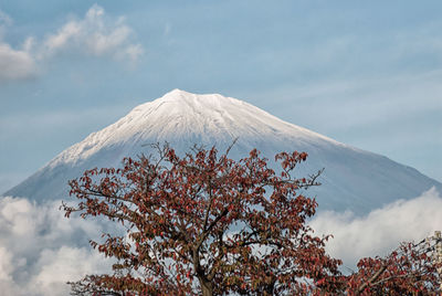 View of snowcapped mountain against sky