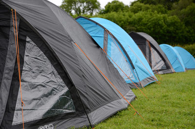 Close-up of tent in grass