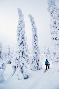 Woman skiing