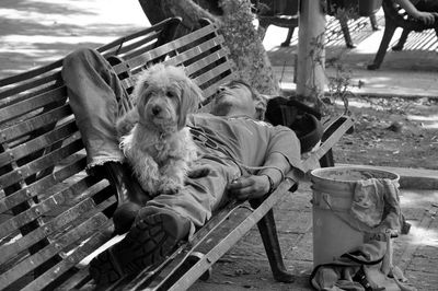 Full length of man sleeping with dog on bench