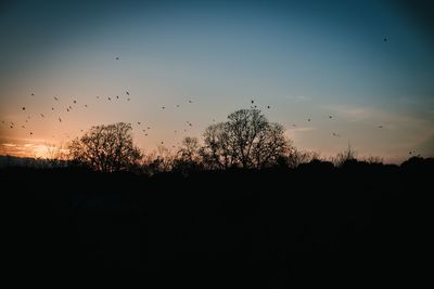 Silhouette trees on field against sky at sunset