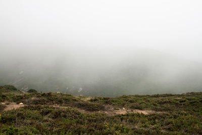 Scenic view of landscape against sky