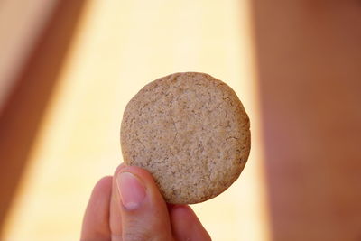 Close-up of hand holding ice cream