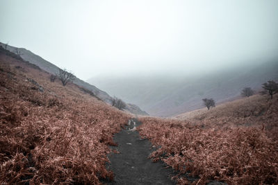 Scenic view of landscape against sky with black road