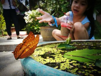 Girl looking at butterfly on pond at park