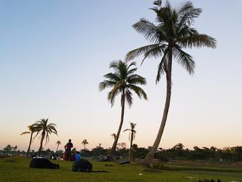 People by palm trees against sky