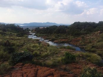 Scenic view of river in forest against sky