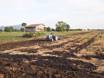 Scenic view of agricultural field against sky