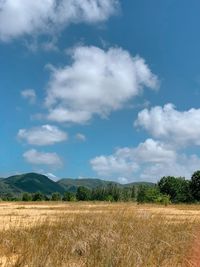 Scenic view of agricultural field against sky