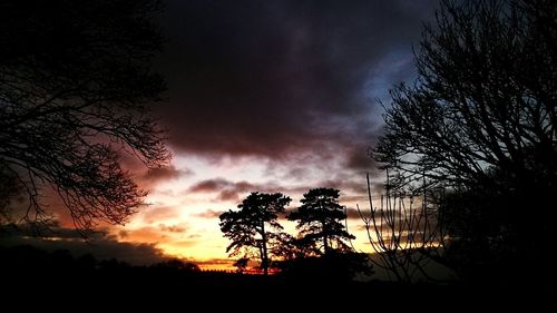 Silhouette of trees against dramatic sky