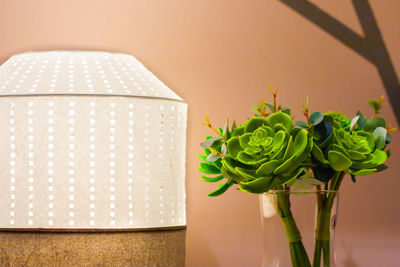 Close-up of potted plant on table at home