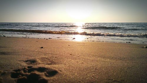 Scenic view of sea at sunset