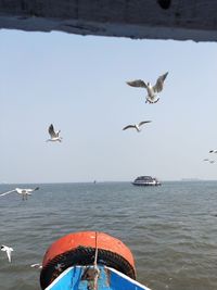 Seagulls flying over sea against sky