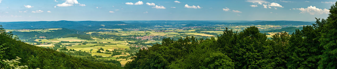 Scenic view of forest against sky