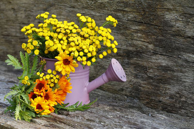 High angle view of yellow flowering plant