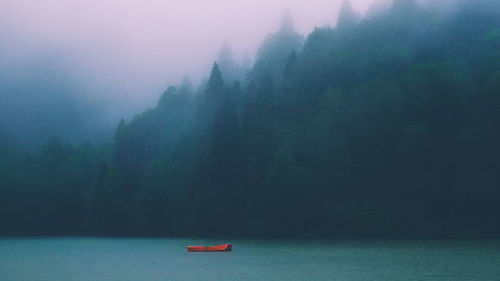Misty landscape forest with ship, beautiful forest in  fog, misty foggy forest mountain landscape 