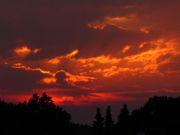 Low angle view of silhouette trees against dramatic sky